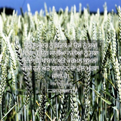 Picture 05 - ਨਹੂਮ 1:4 PANIRV - ਉਹ ਸਮੁੰਦਰ ਨੂੰ ਝਿੜਕ - Bible Verse Picture