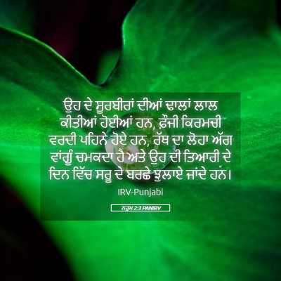Picture 05 - ਨਹੂਮ 2:3 PANIRV - ਉਹ ਦੇ ਸੂਰਬੀਰਾਂ - Bible Verse Picture