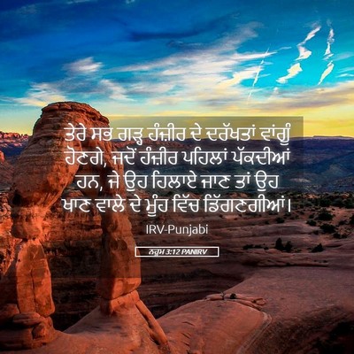 Picture 05 - ਨਹੂਮ 3:12 PANIRV - ਤੇਰੇ ਸਭ ਗੜ੍ਹ - Bible Verse Picture