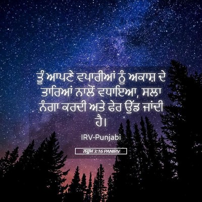 Picture 05 - ਨਹੂਮ 3:16 PANIRV - ਤੂੰ ਆਪਣੇ ਵਪਾਰੀਆਂ - Bible Verse Picture