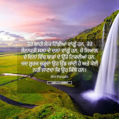 Picture 05 - ਨਹੂਮ 3:17 PANIRV - ਤੇਰੇ ਸ਼ਾਹੀ ਲੋਕ - Bible Verse Picture