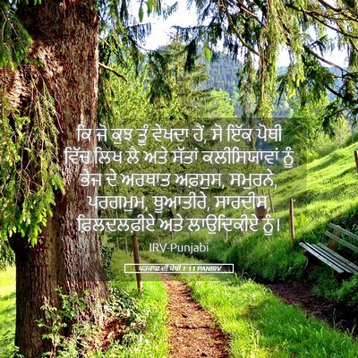 Picture 05 - ਪਰਕਾਸ਼ ਦੀ ਪੋਥੀ 1:11 PANIRV - ਕਿ ਜੋ ਕੁਝ ਤੂੰ ਵੇਖਦਾ - Bible Verse Picture