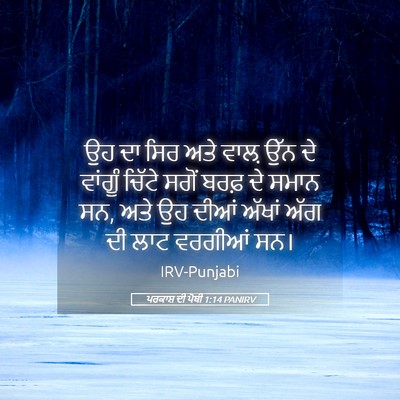 Picture 05 - ਪਰਕਾਸ਼ ਦੀ ਪੋਥੀ 1:14 PANIRV - ਉਹ ਦਾ ਸਿਰ ਅਤੇ ਵਾਲ਼ - Bible Verse Picture