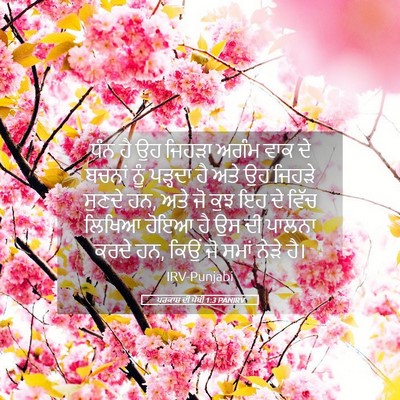 Picture 05 - ਪਰਕਾਸ਼ ਦੀ ਪੋਥੀ 1:3 PANIRV - ਧੰਨ ਹੈ ਉਹ ਜਿਹੜਾ - Bible Verse Picture