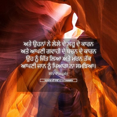 Picture 05 - ਪਰਕਾਸ਼ ਦੀ ਪੋਥੀ 12:11 PANIRV - ਅਤੇ ਉਹਨਾਂ ਨੇ ਲੇਲੇ - Bible Verse Picture