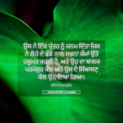 Picture 05 - ਪਰਕਾਸ਼ ਦੀ ਪੋਥੀ 12:5 PANIRV - ਉਸ ਨੇ ਇੱਕ ਪੁੱਤਰ ਨੂੰ - Bible Verse Picture