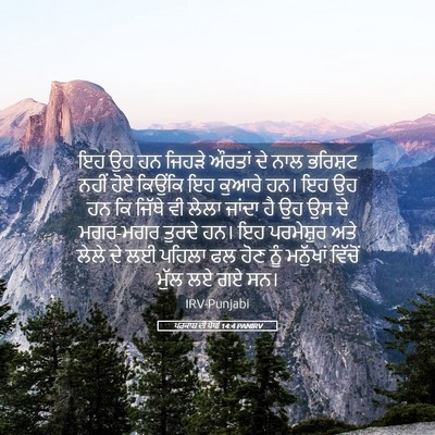 Picture 05 - ਪਰਕਾਸ਼ ਦੀ ਪੋਥੀ 14:4 PANIRV - ਇਹ ਉਹ ਹਨ ਜਿਹੜੇ - Bible Verse Picture