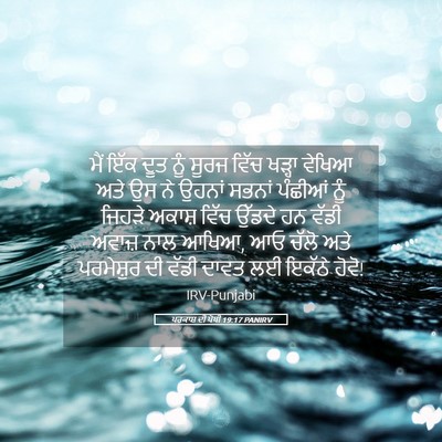 Picture 05 - ਪਰਕਾਸ਼ ਦੀ ਪੋਥੀ 19:17 PANIRV - ਮੈਂ ਇੱਕ ਦੂਤ ਨੂੰ - Bible Verse Picture