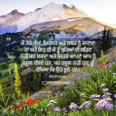 Picture 05 - ਪਰਕਾਸ਼ ਦੀ ਪੋਥੀ 2:2 PANIRV - ਮੈਂ ਤੇਰੇ ਕੰਮਾਂ, - Bible Verse Picture