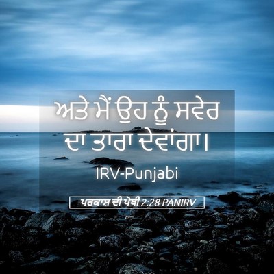 Picture 05 - ਪਰਕਾਸ਼ ਦੀ ਪੋਥੀ 2:28 PANIRV - ਅਤੇ ਮੈਂ ਉਹ ਨੂੰ ਸਵੇਰ - Bible Verse Picture
