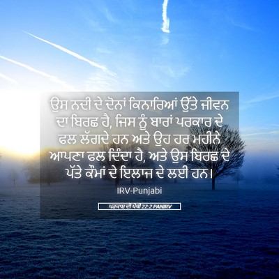 Picture 05 - ਪਰਕਾਸ਼ ਦੀ ਪੋਥੀ 22:2 PANIRV - ਉਸ ਨਦੀ ਦੇ ਦੋਨਾਂ - Bible Verse Picture