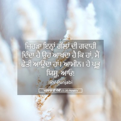 Picture 05 - ਪਰਕਾਸ਼ ਦੀ ਪੋਥੀ 22:20 PANIRV - ਜਿਹੜਾ ਇਨ੍ਹਾਂ - Bible Verse Picture