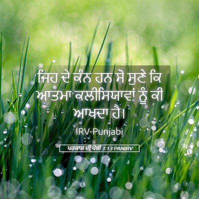 Picture 05 - ਪਰਕਾਸ਼ ਦੀ ਪੋਥੀ 3:13 PANIRV - ਜਿਹ ਦੇ ਕੰਨ ਹਨ ਸੋ - Bible Verse Picture