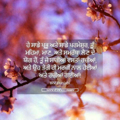 Picture 05 - ਪਰਕਾਸ਼ ਦੀ ਪੋਥੀ 4:11 PANIRV - ਹੇ ਸਾਡੇ ਪ੍ਰਭੂ ਅਤੇ - Bible Verse Picture