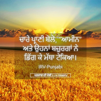 Picture 05 - ਪਰਕਾਸ਼ ਦੀ ਪੋਥੀ 5:14 PANIRV - ਚਾਰੇ ਪ੍ਰਾਣੀ ਬੋਲੇ, - Bible Verse Picture