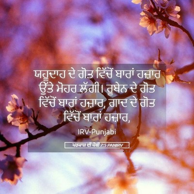 Picture 05 - ਪਰਕਾਸ਼ ਦੀ ਪੋਥੀ 7:5 PANIRV - ਯਹੂਦਾਹ ਦੇ ਗੋਤ - Bible Verse Picture