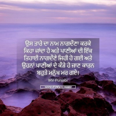 Picture 05 - ਪਰਕਾਸ਼ ਦੀ ਪੋਥੀ 8:11 PANIRV - ਉਸ ਤਾਰੇ ਦਾ ਨਾਮ - Bible Verse Picture