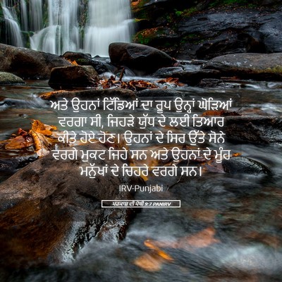 Picture 05 - ਪਰਕਾਸ਼ ਦੀ ਪੋਥੀ 9:7 PANIRV - ਅਤੇ ਉਹਨਾਂ ਟਿੱਡਿਆਂ - Bible Verse Picture