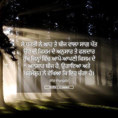 Picture 05 - ਪੈਦਾਇਸ਼ 1:12 PANIRV - ਸੋ ਧਰਤੀ ਨੇ ਘਾਹ ਤੇ - Bible Verse Picture