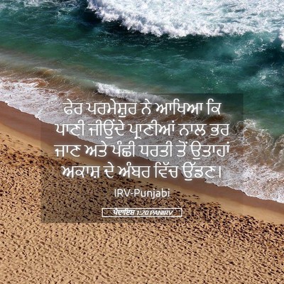 Picture 05 - ਪੈਦਾਇਸ਼ 1:20 PANIRV - ਫੇਰ ਪਰਮੇਸ਼ੁਰ ਨੇ - Bible Verse Picture