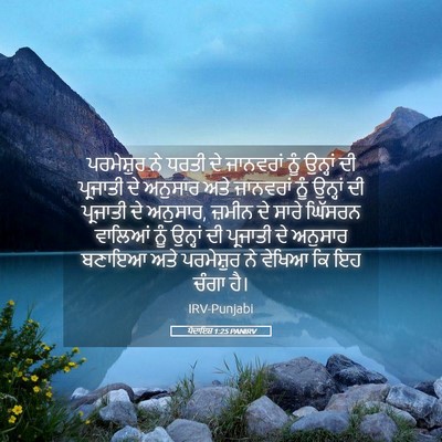 Picture 05 - ਪੈਦਾਇਸ਼ 1:25 PANIRV - ਪਰਮੇਸ਼ੁਰ ਨੇ ਧਰਤੀ - Bible Verse Picture