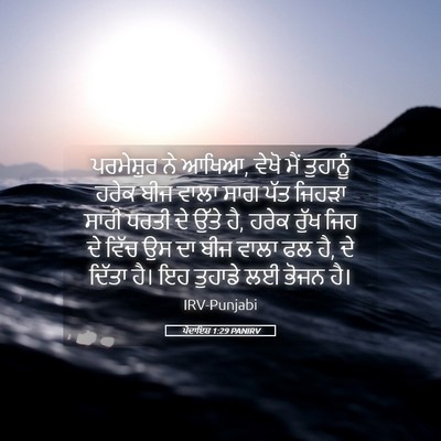 Picture 05 - ਪੈਦਾਇਸ਼ 1:29 PANIRV - ਪਰਮੇਸ਼ੁਰ ਨੇ ਆਖਿਆ, - Bible Verse Picture