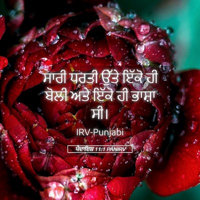 Picture 05 - ਪੈਦਾਇਸ਼ 11:1 PANIRV - ਸਾਰੀ ਧਰਤੀ ਉੱਤੇ - Bible Verse Picture