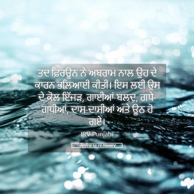 Picture 05 - ਪੈਦਾਇਸ਼ 12:16 PANIRV - ਤਦ ਫ਼ਿਰਊਨ ਨੇ ਅਬਰਾਮ - Bible Verse Picture