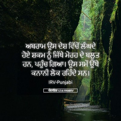 Picture 05 - ਪੈਦਾਇਸ਼ 12:6 PANIRV - ਅਬਰਾਮ ਉਸ ਦੇਸ਼ - Bible Verse Picture