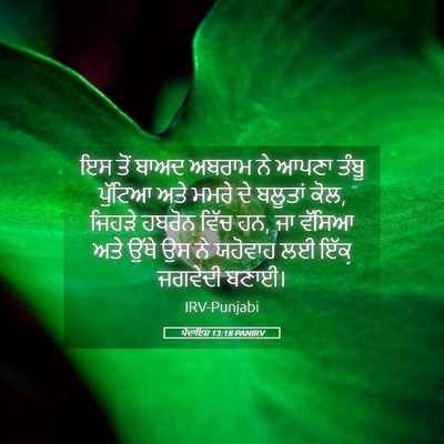 Picture 05 - ਪੈਦਾਇਸ਼ 13:18 PANIRV - ਇਸ ਤੋਂ ਬਾਅਦ ਅਬਰਾਮ - Bible Verse Picture
