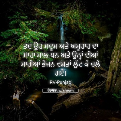 Picture 05 - ਪੈਦਾਇਸ਼ 14:11 PANIRV - ਤਦ ਉਹ ਸਦੂਮ ਅਤੇ - Bible Verse Picture