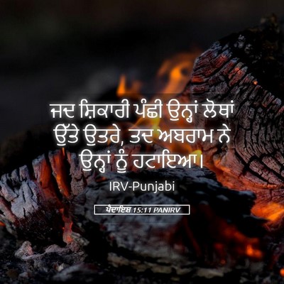 Picture 05 - ਪੈਦਾਇਸ਼ 15:11 PANIRV - ਜਦ ਸ਼ਿਕਾਰੀ ਪੰਛੀ - Bible Verse Picture