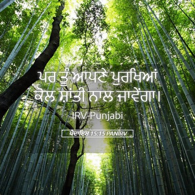 Picture 05 - ਪੈਦਾਇਸ਼ 15:15 PANIRV - ਪਰ ਤੂੰ ਆਪਣੇ - Bible Verse Picture