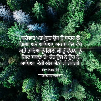 Picture 05 - ਪੈਦਾਇਸ਼ 15:5 PANIRV - ਯਹੋਵਾਹ ਪਰਮੇਸ਼ੁਰ - Bible Verse Picture