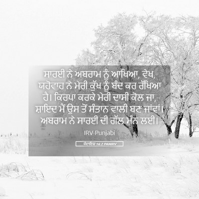 Picture 05 - ਪੈਦਾਇਸ਼ 16:2 PANIRV - ਸਾਰਈ ਨੇ ਅਬਰਾਮ ਨੂੰ - Bible Verse Picture