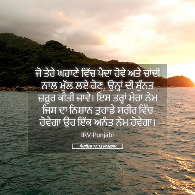 Picture 05 - ਪੈਦਾਇਸ਼ 17:13 PANIRV - ਜੋ ਤੇਰੇ ਘਰਾਣੇ ਵਿੱਚ - Bible Verse Picture