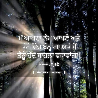Picture 05 - ਪੈਦਾਇਸ਼ 17:2 PANIRV - ਮੈਂ ਆਪਣਾ ਨੇਮ ਆਪਣੇ - Bible Verse Picture