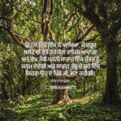 Picture 05 - ਪੈਦਾਇਸ਼ 18:10 PANIRV - ਉਹਨਾਂ ਵਿੱਚੋਂ ਇੱਕ - Bible Verse Picture