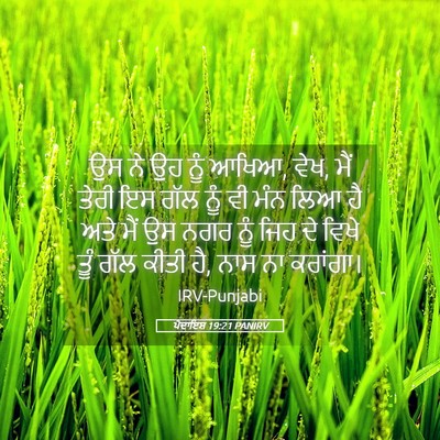 Picture 05 - ਪੈਦਾਇਸ਼ 19:21 PANIRV - ਉਸ ਨੇ ਉਹ ਨੂੰ ਆਖਿਆ, - Bible Verse Picture
