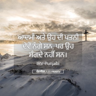 Picture 05 - ਪੈਦਾਇਸ਼ 2:25 PANIRV - ਆਦਮੀ ਅਤੇ ਉਹ ਦੀ ਪਤਨੀ - Bible Verse Picture