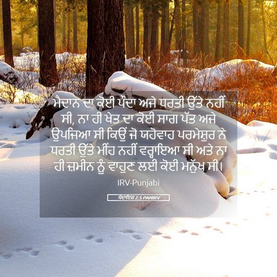 Picture 05 - ਪੈਦਾਇਸ਼ 2:5 PANIRV - ਮੈਦਾਨ ਦਾ ਕੋਈ ਪੌਦਾ - Bible Verse Picture