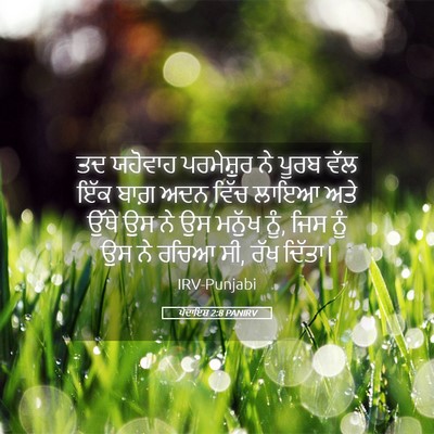 Picture 05 - ਪੈਦਾਇਸ਼ 2:8 PANIRV - ਤਦ ਯਹੋਵਾਹ - Bible Verse Picture