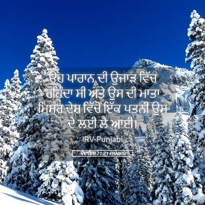 Picture 05 - ਪੈਦਾਇਸ਼ 21:21 PANIRV - ਉਹ ਪਾਰਾਨ ਦੀ ਉਜਾੜ - Bible Verse Picture