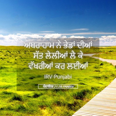 Picture 05 - ਪੈਦਾਇਸ਼ 21:28 PANIRV - ਅਬਰਾਹਾਮ ਨੇ ਭੇਡਾਂ - Bible Verse Picture
