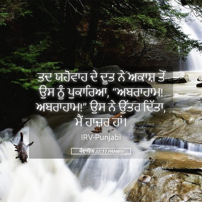 Picture 05 - ਪੈਦਾਇਸ਼ 22:11 PANIRV - ਤਦ ਯਹੋਵਾਹ ਦੇ ਦੂਤ ਨੇ - Bible Verse Picture