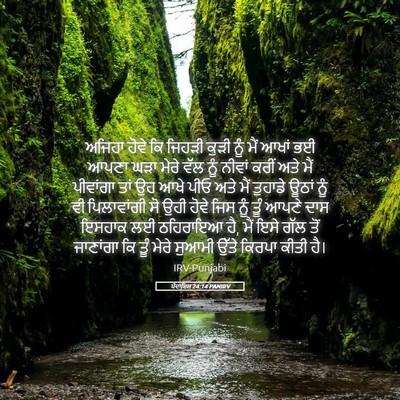 Picture 05 - ਪੈਦਾਇਸ਼ 24:14 PANIRV - ਅਜਿਹਾ ਹੋਵੇ ਕਿ - Bible Verse Picture