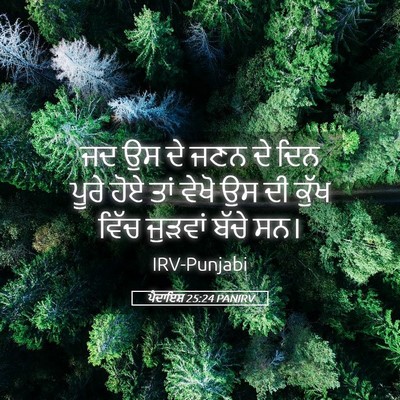 Picture 05 - ਪੈਦਾਇਸ਼ 25:24 PANIRV - ਜਦ ਉਸ ਦੇ ਜਣਨ ਦੇ ਦਿਨ - Bible Verse Picture
