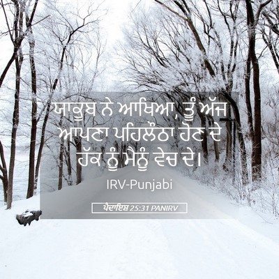 Picture 05 - ਪੈਦਾਇਸ਼ 25:31 PANIRV - ਯਾਕੂਬ ਨੇ ਆਖਿਆ, ਤੂੰ - Bible Verse Picture