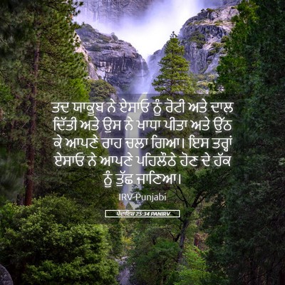 Picture 05 - ਪੈਦਾਇਸ਼ 25:34 PANIRV - ਤਦ ਯਾਕੂਬ ਨੇ ਏਸਾਓ - Bible Verse Picture