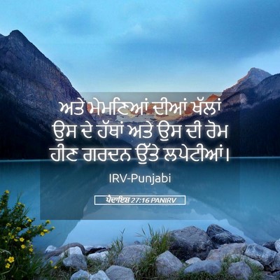 Picture 05 - ਪੈਦਾਇਸ਼ 27:16 PANIRV - ਅਤੇ ਮੇਮਣਿਆਂ ਦੀਆਂ - Bible Verse Picture